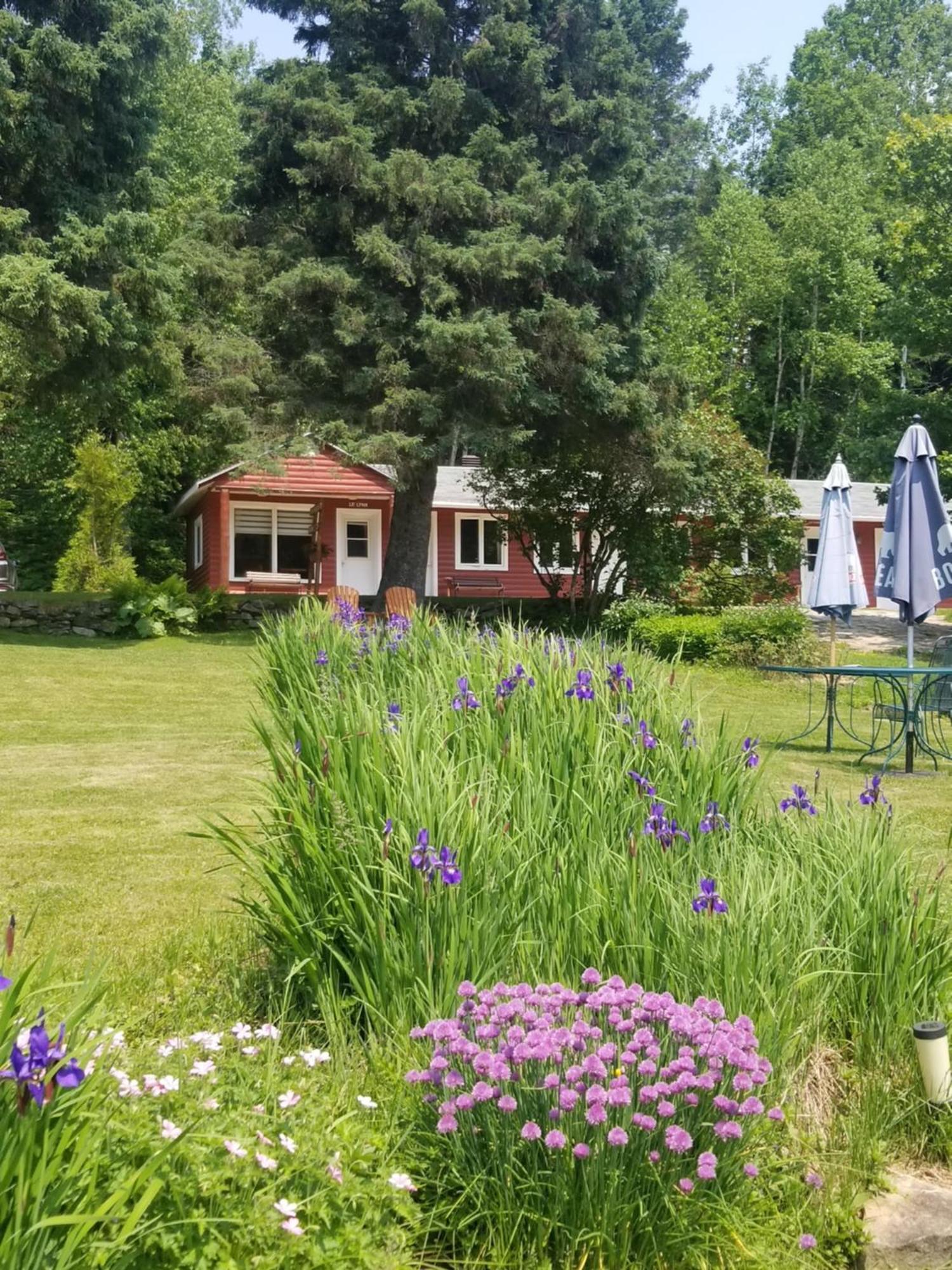 Kan-A-Mouche Pourvoirie Auberge Et Chalets Saint-Michel Habitación foto